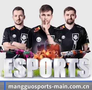芒果体育 APP(MangoSport)